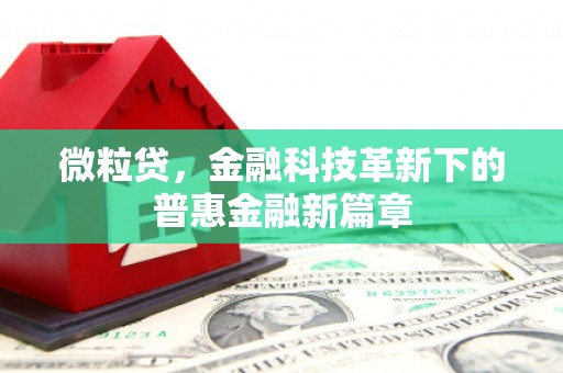 苏家屯微粒贷，金融科技革新下的普惠金融新篇章