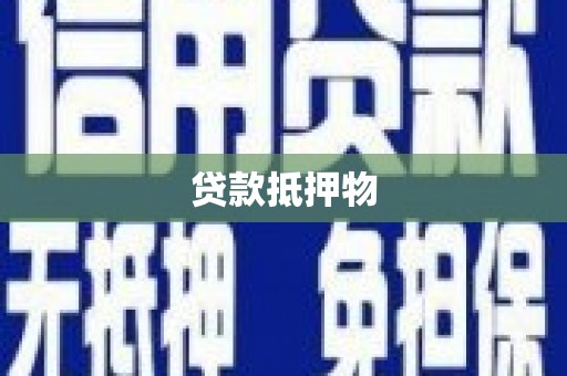 苏家屯贷款抵押物