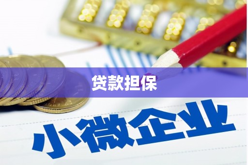 苏家屯贷款担保