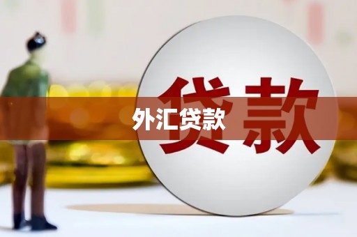 苏家屯外汇贷款