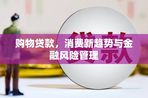 苏家屯购物贷款，消费新趋势与金融风险管理