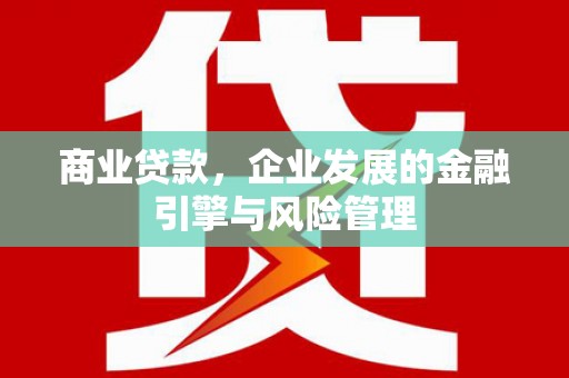 苏家屯商业贷款，企业发展的金融引擎与风险管理