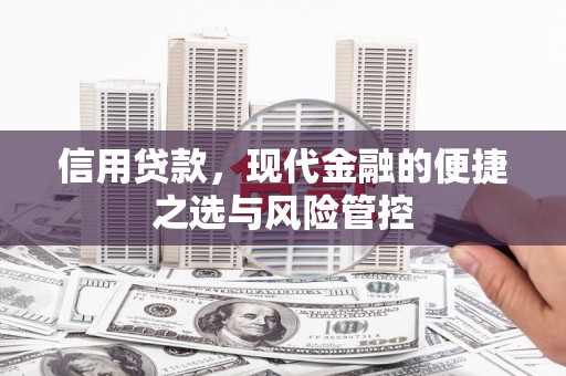 苏家屯信用贷款，现代金融的便捷之选与风险管控