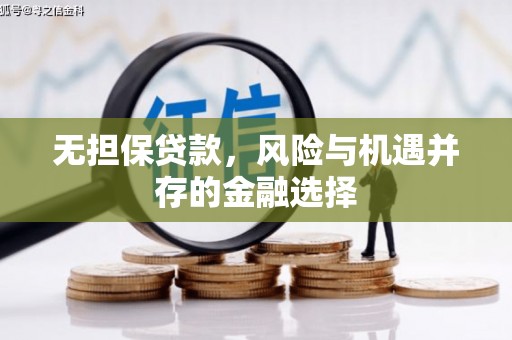 苏家屯无担保贷款，风险与机遇并存的金融选择