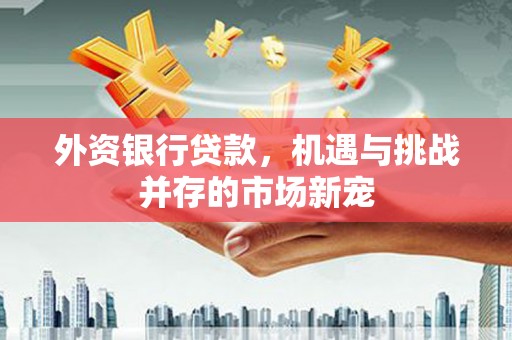 苏家屯外资银行贷款，机遇与挑战并存的市场新宠