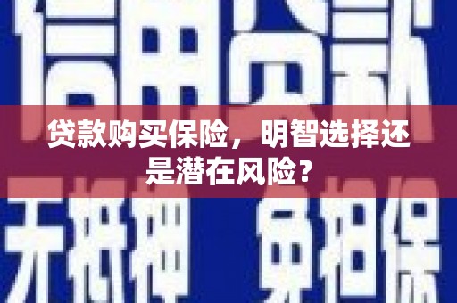 苏家屯贷款购买保险，明智选择还是潜在风险？