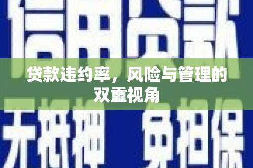 苏家屯贷款违约率，风险与管理的双重视角
