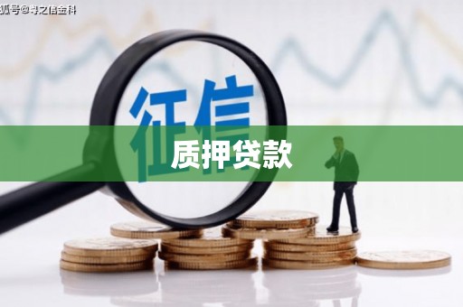 苏家屯质押贷款