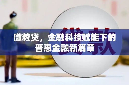 苏家屯微粒贷，金融科技赋能下的普惠金融新篇章
