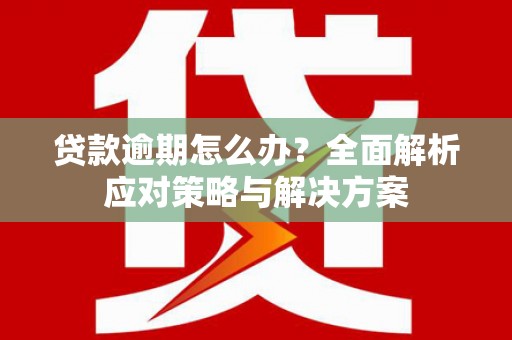 苏家屯贷款逾期怎么办？全面解析应对策略与解决方案