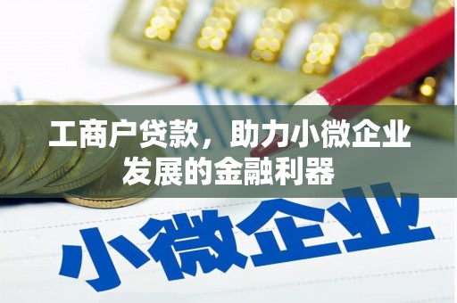 苏家屯工商户贷款，助力小微企业发展的金融利器