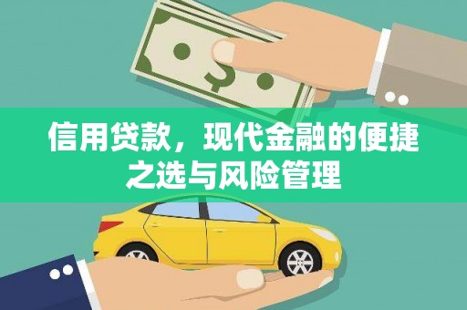 苏家屯信用贷款，现代金融的便捷之选与风险管理