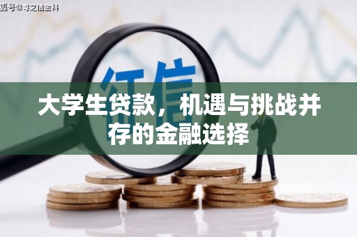 苏家屯大学生贷款，机遇与挑战并存的金融选择