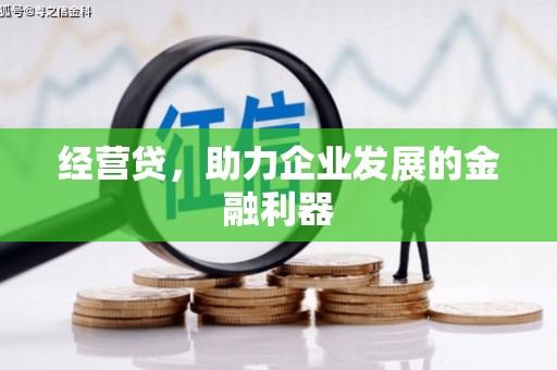 苏家屯经营贷，助力企业发展的金融利器