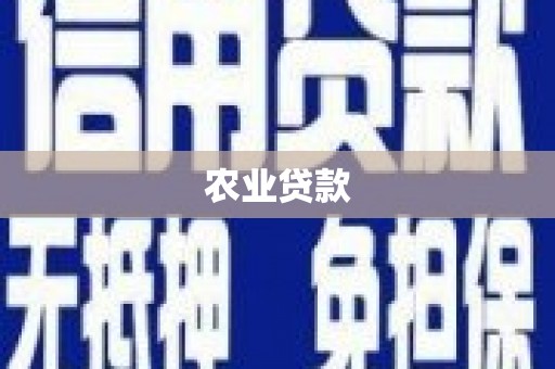 苏家屯农业贷款