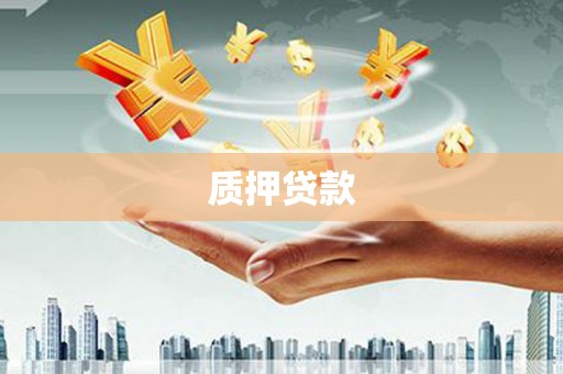 苏家屯质押贷款