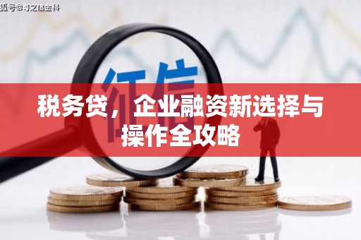 苏家屯税务贷，企业融资新选择与操作全攻略