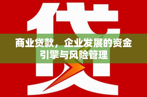 苏家屯商业贷款，企业发展的资金引擎与风险管理