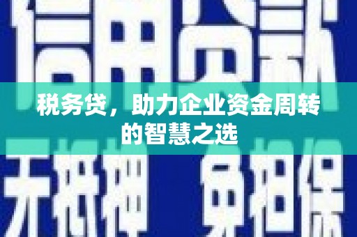 苏家屯税务贷，助力企业资金周转的智慧之选