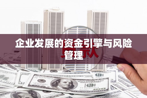 苏家屯企业发展的资金引擎与风险管理