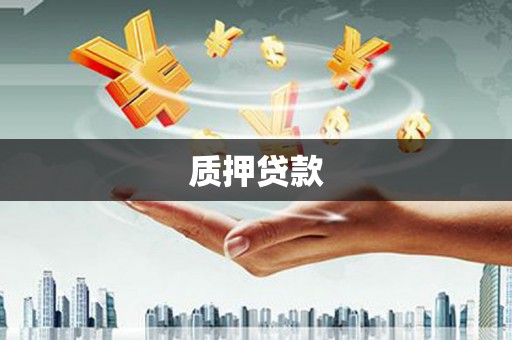 苏家屯质押贷款