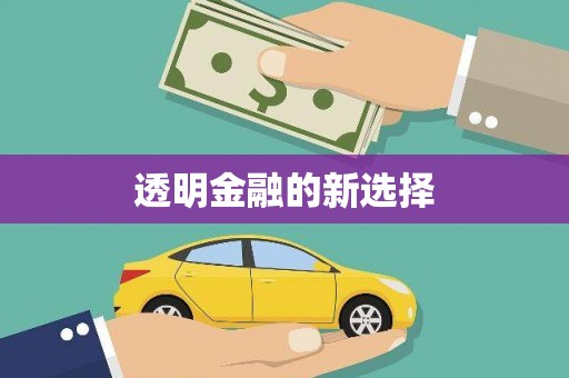 苏家屯透明金融的新选择