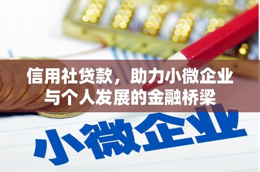 苏家屯信用社贷款，助力小微企业与个人发展的金融桥梁