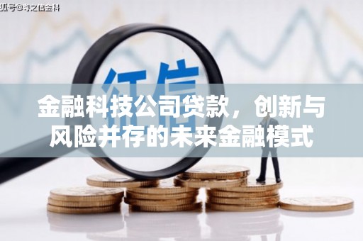 苏家屯金融科技公司贷款，创新与风险并存的未来金融模式