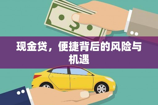 苏家屯现金贷，便捷背后的风险与机遇