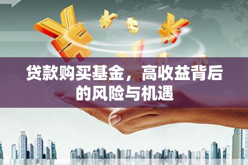苏家屯贷款购买基金，高收益背后的风险与机遇