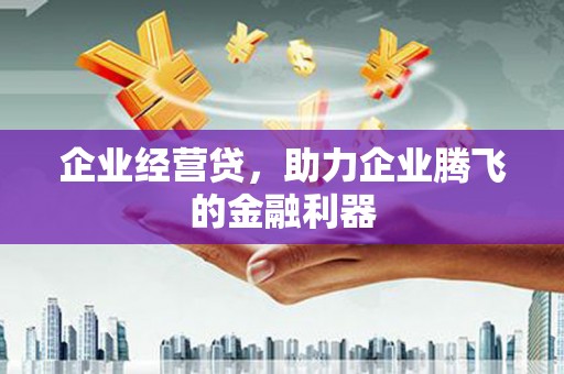 苏家屯企业经营贷，助力企业腾飞的金融利器