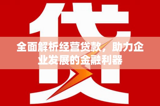 苏家屯全面解析经营贷款，助力企业发展的金融利器