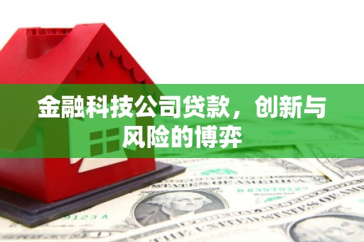 苏家屯金融科技公司贷款，创新与风险的博弈