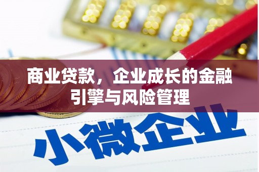 苏家屯商业贷款，企业成长的金融引擎与风险管理