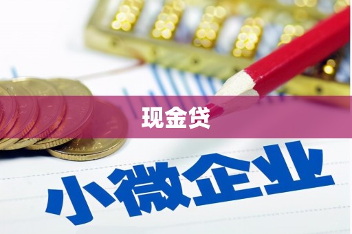 苏家屯现金贷