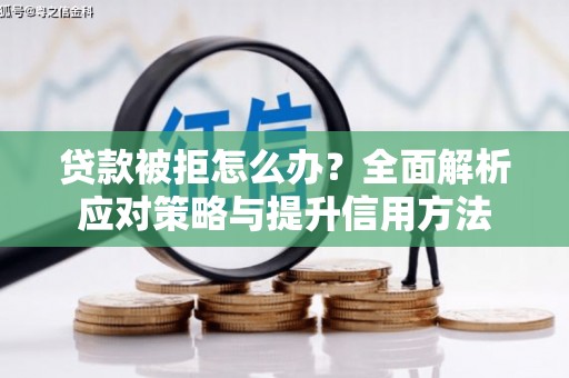 苏家屯贷款被拒怎么办？全面解析应对策略与提升信用方法