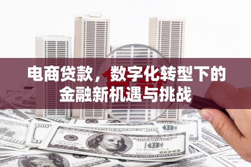 苏家屯电商贷款，数字化转型下的金融新机遇与挑战
