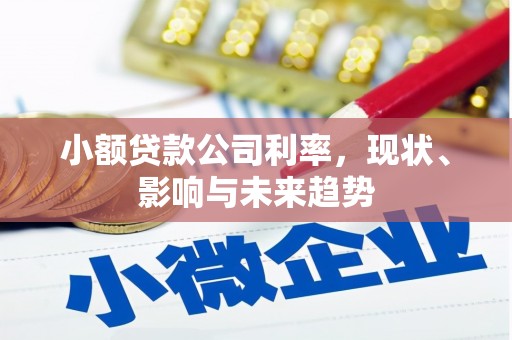 苏家屯小额贷款公司利率，现状、影响与未来趋势