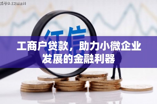 苏家屯工商户贷款，助力小微企业发展的金融利器