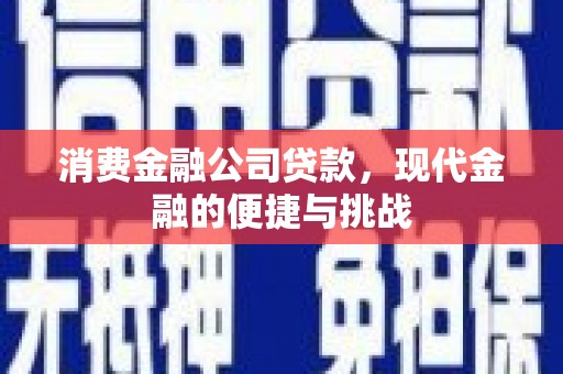 苏家屯消费金融公司贷款，现代金融的便捷与挑战