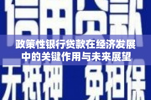 苏家屯政策性银行贷款在经济发展中的关键作用与未来展望