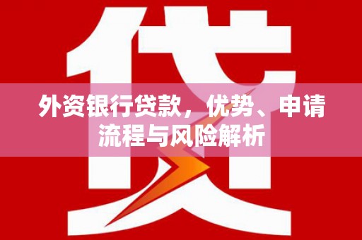 苏家屯外资银行贷款，优势、申请流程与风险解析
