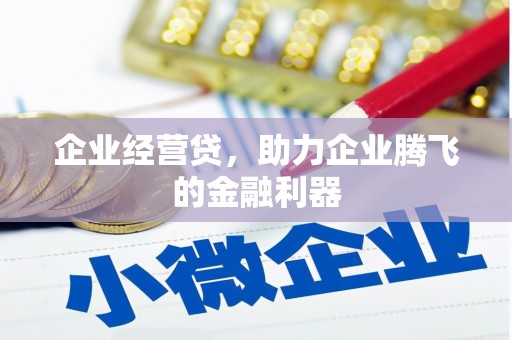 苏家屯企业经营贷，助力企业腾飞的金融利器