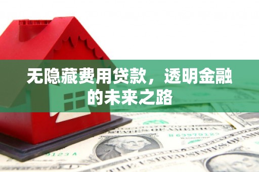 苏家屯无隐藏费用贷款，透明金融的未来之路