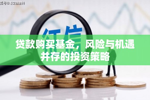 苏家屯贷款购买基金，风险与机遇并存的投资策略
