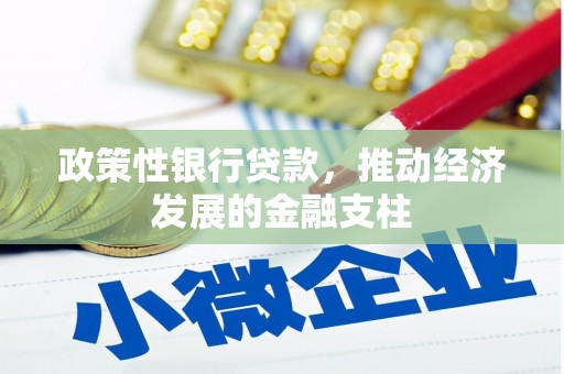 苏家屯政策性银行贷款，推动经济发展的金融支柱