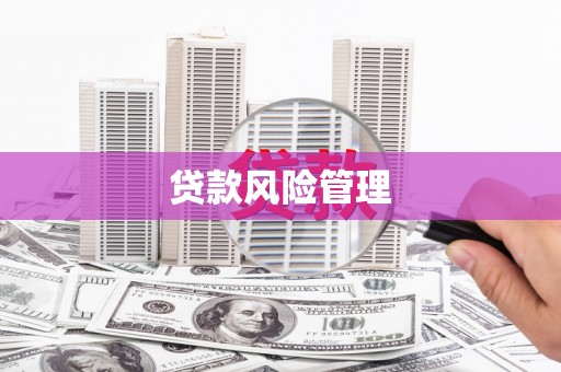 苏家屯贷款风险管理