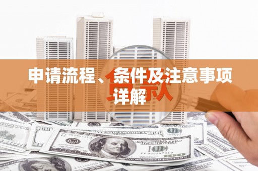 苏家屯申请流程、条件及注意事项详解