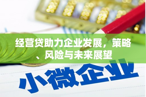 苏家屯经营贷助力企业发展，策略、风险与未来展望