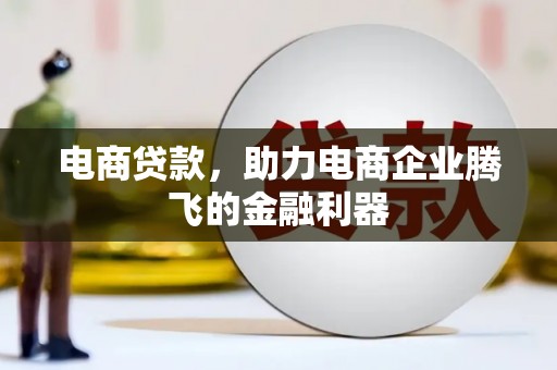 苏家屯电商贷款，助力电商企业腾飞的金融利器